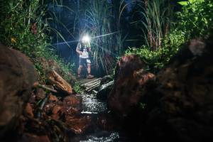 BIB: 
                            <button type="button" onclick="openModal(26416429)" class="btn btn-primary btn-sm float-right btn-popup" data-toggle="modal" data-target=".modal-high-quality">
                        <i class="fas fa-shopping-cart"></i> Add to Cart
                    </button>
                                            <button type="button" onclick="isThisMe(26416429, true)" class="btn btn-success btn-sm float-right btn-popup btn-isme hidden" data-toggle="tooltip" data-placement="bottom" title="นี่คือรูปของคุณใช่ไหม คลิกที่นี่เพื่อเอาเข้าอัลบั้ม">
                        <i class="fas fa-plus"></i> Add to album
                    </button>
                    <button type="button" onclick="isThisMe(26416429, false)" class="btn btn-warning btn-sm float-right btn-popup btn-isnotme hidden">
                        <i class="fas fa-ban"></i> Remove from album
                    </button>